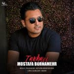 mostafa-bornamehr-tanhaei